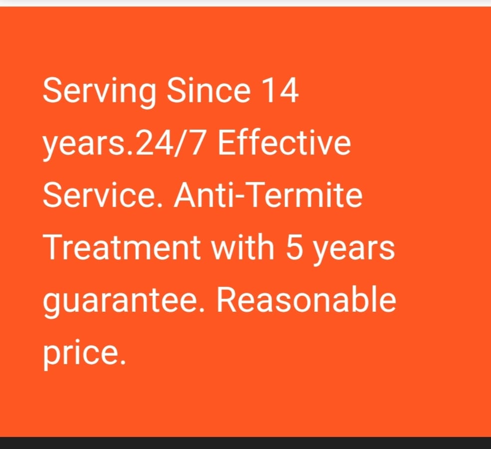 Professional Pest Control Team